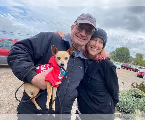 Medium Photo #2 Chihuahua Puppy For Sale in  Ramona, CA, USA