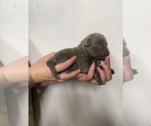 Main image of advertise