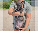 Small #2 Bo-Dach