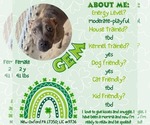 Small #3 American Staffordshire Terrier Mix