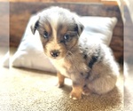 Image preview for Ad Listing. Nickname: Jehu