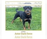 Small Photo #1 Rottweiler Puppy For Sale in NARVON, PA, USA