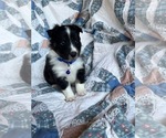 Image preview for Ad Listing. Nickname: Birch