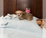 Image preview for Ad Listing. Nickname: Nevaeh