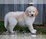 Image preview for Ad Listing. Nickname: BSCF2