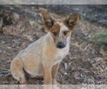 Small #3 Breeder Profile image