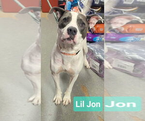 Mutt Dogs for adoption in Richmond, IN, USA