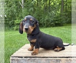 Image preview for Ad Listing. Nickname: Hiram