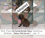 Image preview for Ad Listing. Nickname: Yellow Ribbon