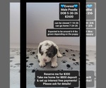 Image preview for Ad Listing. Nickname: Everest