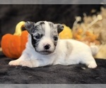 Image preview for Ad Listing. Nickname: Sky