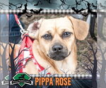 Small #2 Breeder Profile image