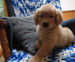 Image preview for Ad Listing. Nickname: Twinkie