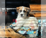 Small #10 Mutt