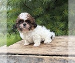 Image preview for Ad Listing. Nickname: Tyler
