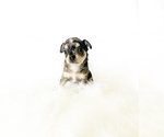 Image preview for Ad Listing. Nickname: Cali