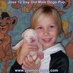 Small Photo #184 Dogo Argentino Puppy For Sale in JANE, MO, USA