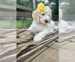 Image preview for Ad Listing. Nickname: Yellow girl