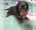 Image preview for Ad Listing. Nickname: Avery