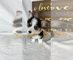 Image preview for Ad Listing. Nickname: Calvin