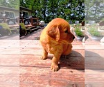 Image preview for Ad Listing. Nickname: Boy 1