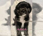 Small #3 Breeder Profile image