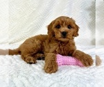 Image preview for Ad Listing. Nickname: Gia