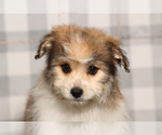Image preview for Ad Listing. Nickname: Marcus