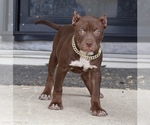 Image preview for Ad Listing. Nickname: Shelly