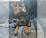 Image preview for Ad Listing. Nickname: Euro