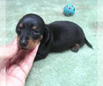 Image preview for Ad Listing. Nickname: Heidi