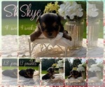 Image preview for Ad Listing. Nickname: Skye