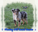 Image preview for Ad Listing. Nickname: Seeker