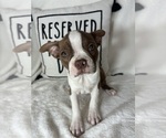 Image preview for Ad Listing. Nickname: Bonnie