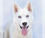 Small #2 Breeder Profile image