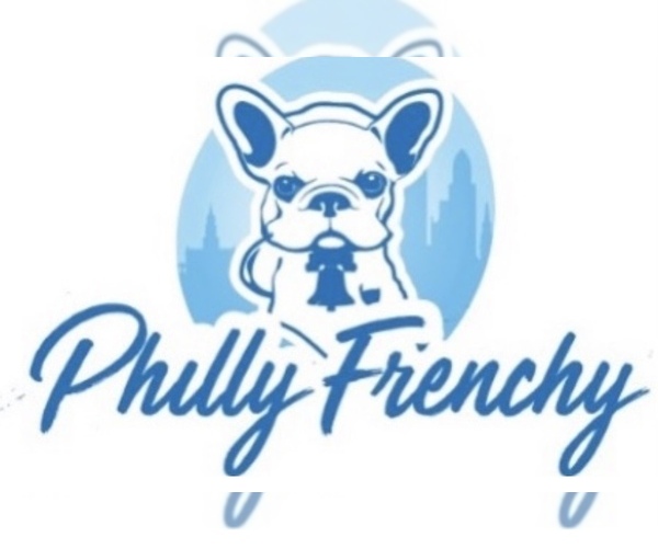 Medium Photo #10 French Bulldog Puppy For Sale in PHILA, PA, USA