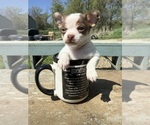 Image preview for Ad Listing. Nickname: Jack