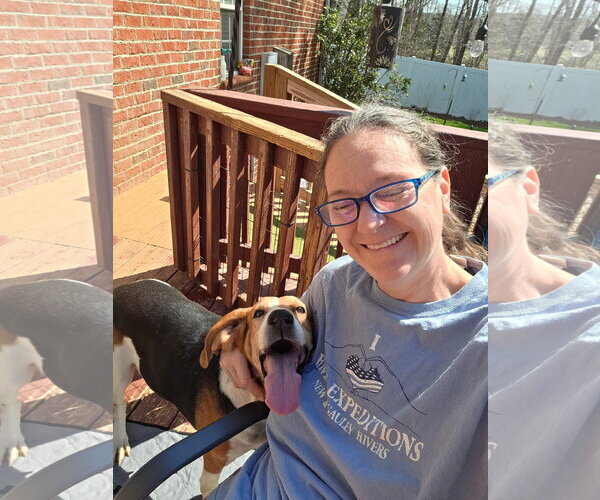 Medium Photo #1 Mutt Puppy For Sale in Thomasville, NC, USA