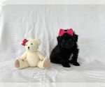 Image preview for Ad Listing. Nickname: Kallie