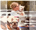 Small #1 French Bulldog