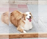 Image preview for Ad Listing. Nickname: Mando