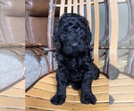 Image preview for Ad Listing. Nickname: Diamond