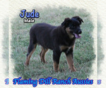 Image preview for Ad Listing. Nickname: Jude