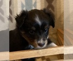 Image preview for Ad Listing. Nickname: MMF