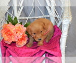  - Photo #2