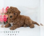 Image preview for Ad Listing. Nickname: Happy