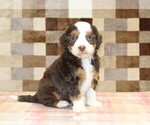 Image preview for Ad Listing. Nickname: Haley