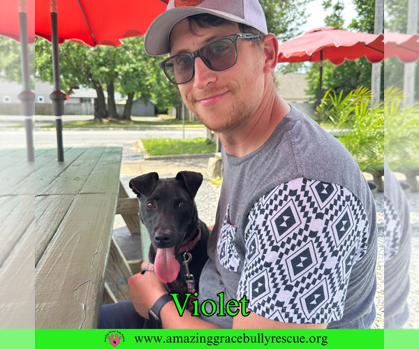 Medium Photo #7 Mutt Puppy For Sale in Milton, FL, USA