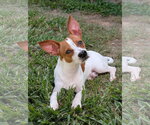Small #4 Jack Chi