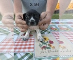  - Photo #2
